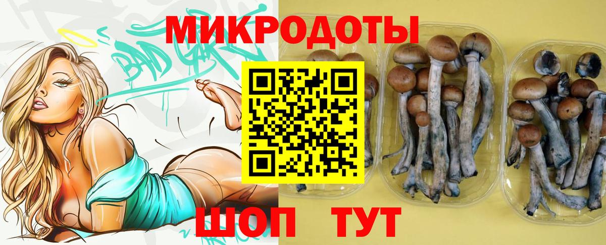 Галлюциногенные грибы MAGIC MUSHROOMS  Вход с VPN  Уссурийск  Псилоцибиновые грибы прущие грибы 
